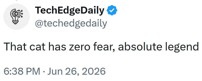 TechEdgeDaily ❤ @techedgedaily That cat has zero fear, absolute legend 6:38 PM ⚫ Jun 26, 2026
