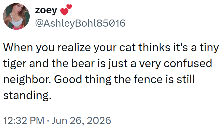 zoey @AshleyBohl85016 When you realize your cat thinks it's a tiny tiger and the bear is just a very confused neighbor. Good thing the fence is still standing. 12:32 PM Jun 26, 2026