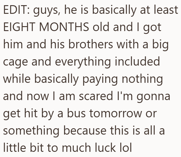 EDIT: guys, he is basically at least EIGHT MONTHS old and I got him and his brothers with a big cage and everything included while basically paying nothing and now I am scared I'm gonna get hit by a bus tomorrow or something because this is all a little bit to much luck lol