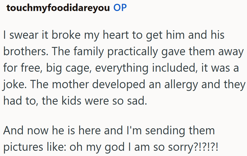 touchmyfoodidareyou OP I swear it broke my heart to get him and his brothers. The family practically gave them away for free, big cage, everything included, it was a joke. The mother developed an allergy and they had to, the kids were so sad. And now he is here and I'm sending them pictures like: oh my god I am so sorry?!?!?!