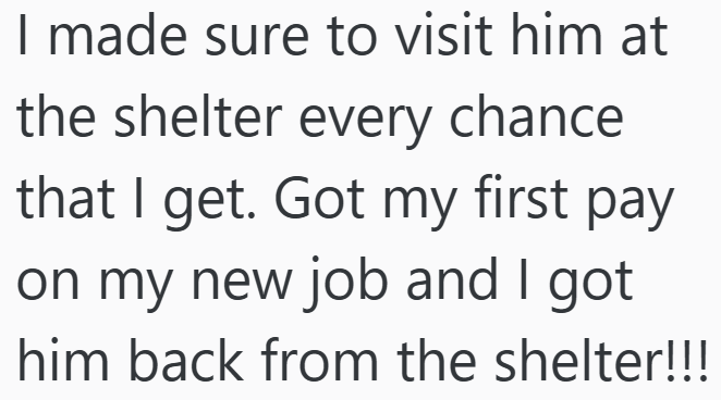 I made sure to visit him at the shelter every chance that I get. Got my first pay on my new job and I got him back from the shelter!!!