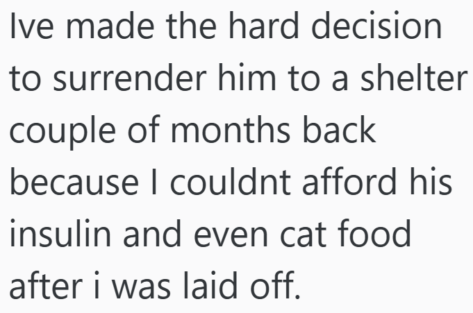 Ive made the hard decision to surrender him to a shelter couple of months back because I couldnt afford his insulin and even cat food after i was laid off.