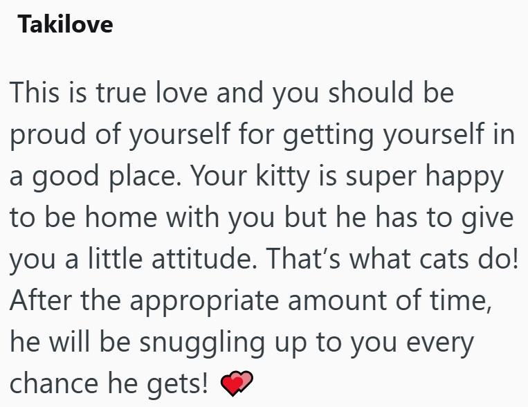 Takilove This is true love and you should be proud of yourself for getting yourself in a good place. Your kitty is super happy to be home with you but he has to give you a little attitude. That's what cats do! After the appropriate amount of time, he will be snuggling up to you every chance he gets!