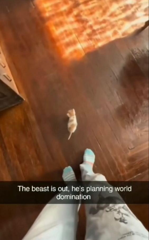 The beast is out, he's planning world domination