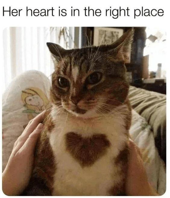 Her heart is in the right place