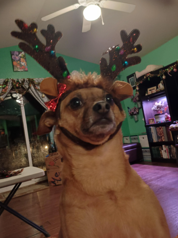 Me