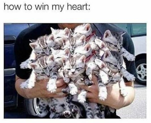 how to win my heart:
