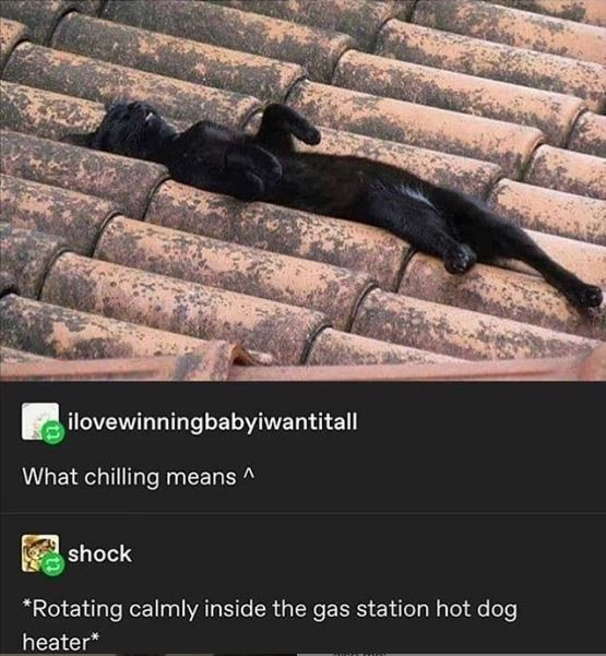 ilovewinningbabyiwantitall What chilling means ^ shock *Rotating calmly inside the gas station hot dog heater*