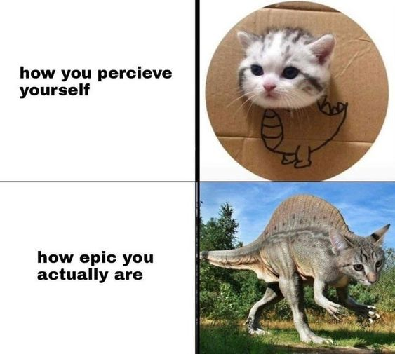 how you percieve yourself how epic you actually are