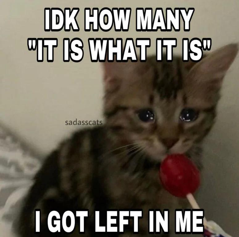 IDK HOW MANY "IT IS WHAT IT IS sadasscats I GOT LEFT IN ME