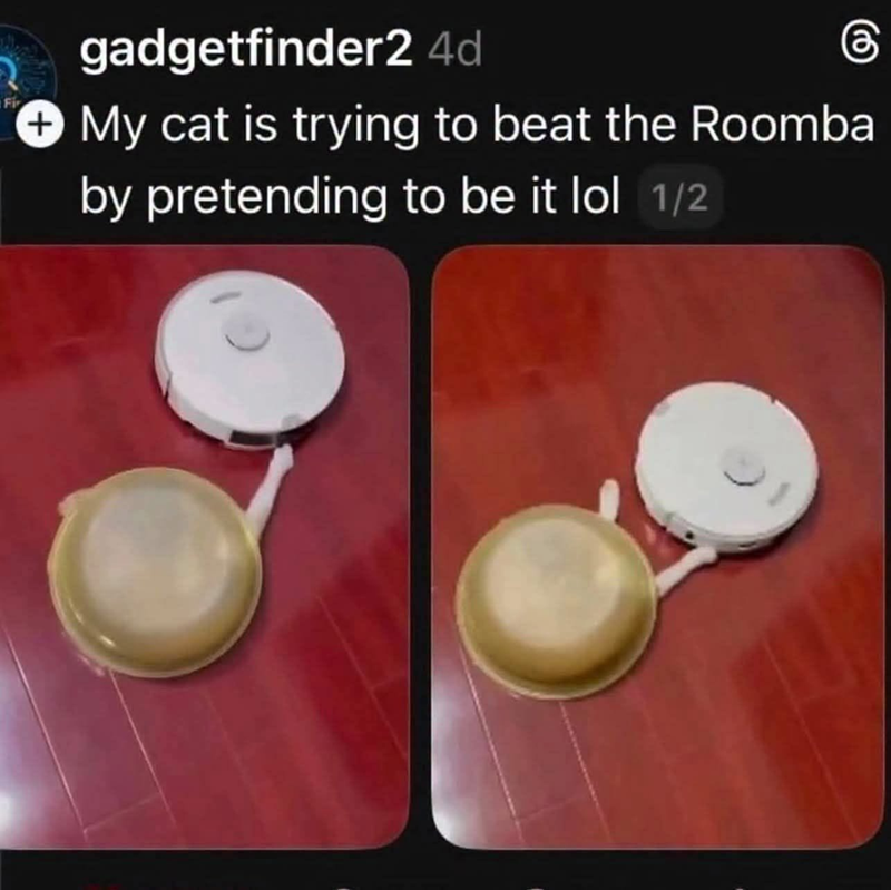 gadgetfinder2 4d My cat is trying to beat the Roomba by pretending to be it lol 1/2.