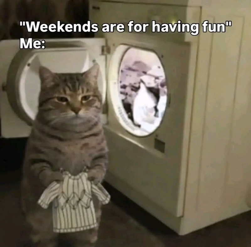 "Weekends are for having fun" Me:
