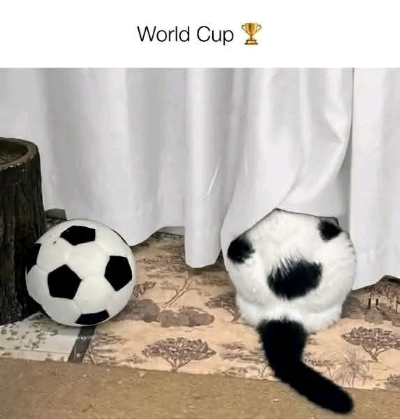 World Cup