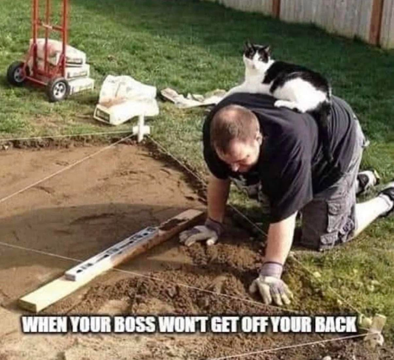 WHEN YOUR BOSS WON'T GET OFF YOUR BACK