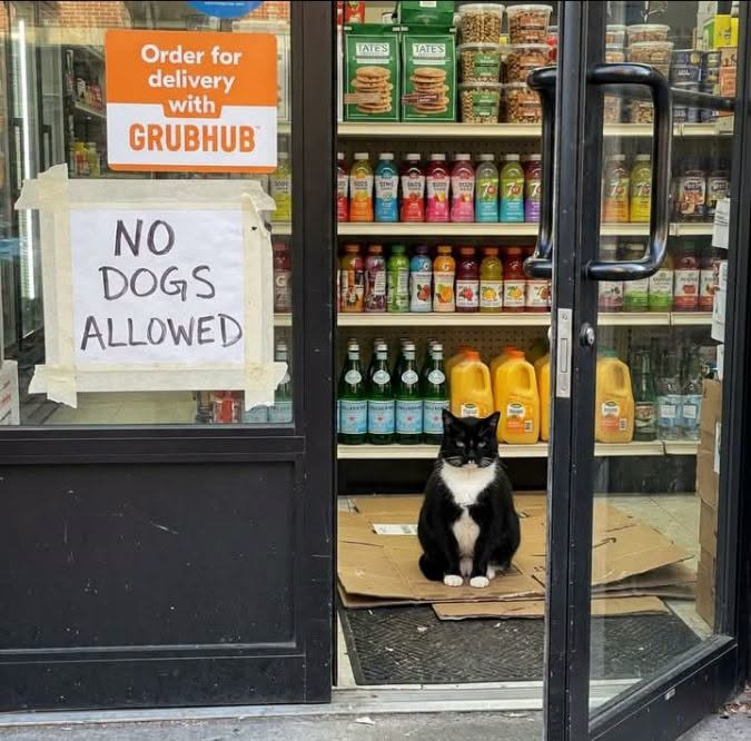 Order for delivery with GRUBHUB NO DOGS ALLOWED TATE'S TATES