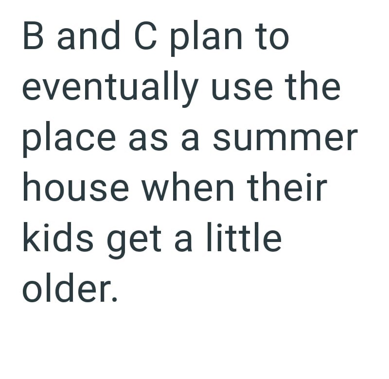 B and C plan to eventually use the place as a summer house when their kids get a little older.