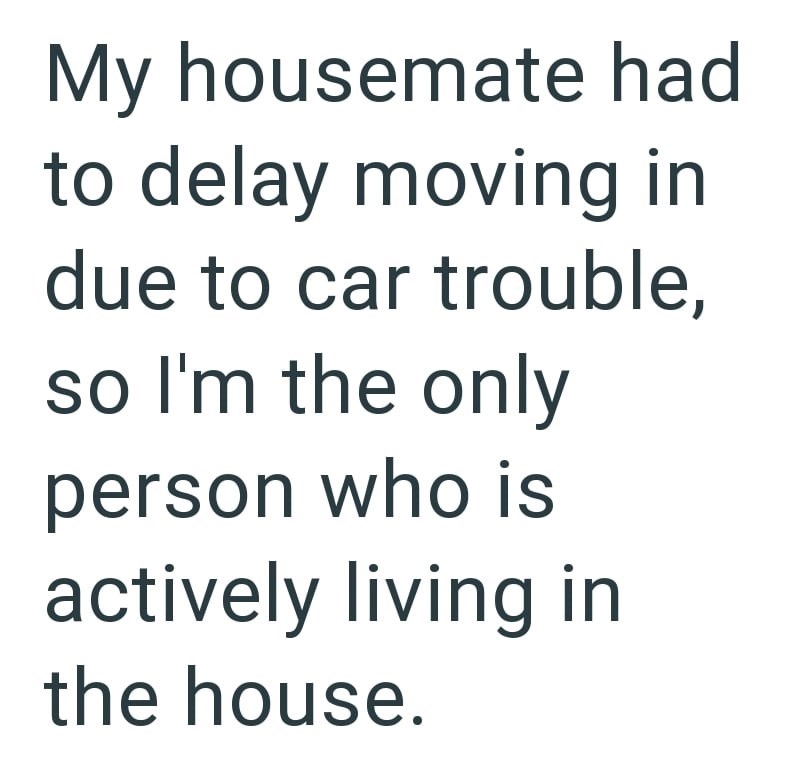 My housemate had to delay moving in due to car trouble, so I'm the only person who is actively living in the house.