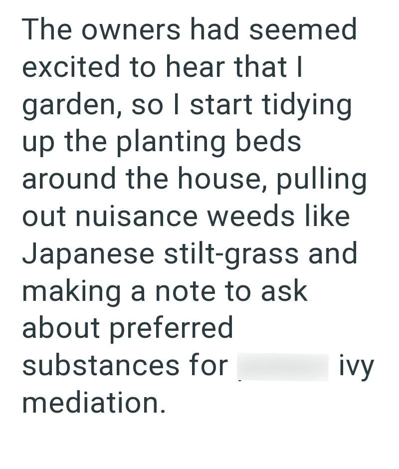 The owners had seemed excited to hear that I garden, so I start tidying up the planting beds around the house, pulling out nuisance weeds like Japanese stilt-grass and making a note to ask about preferred substances for mediation. ivy