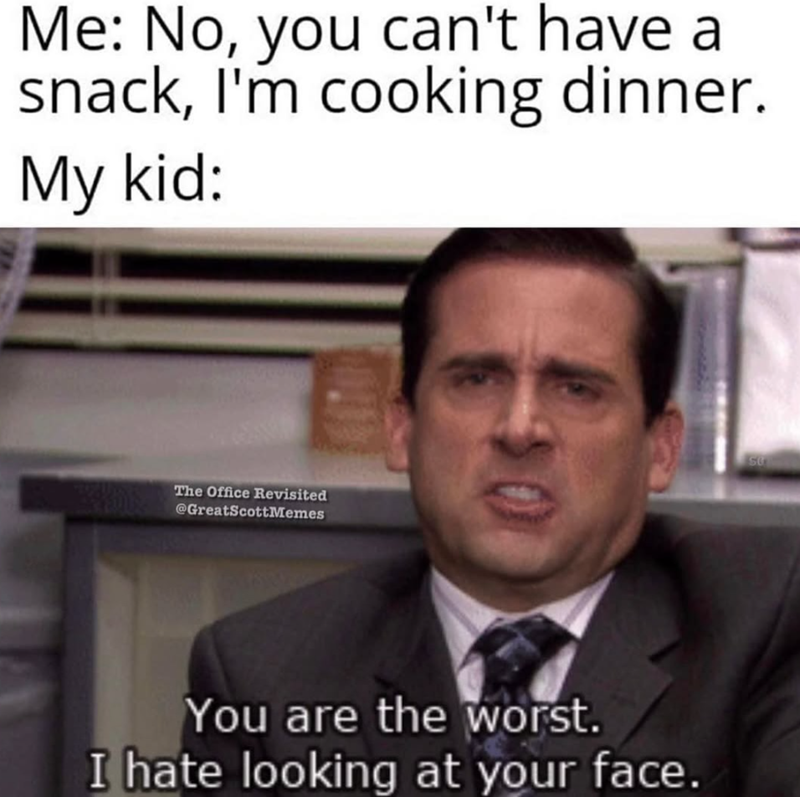 Me: No, you can't have a snack, I'm cooking dinner. My kid: The Office Revisited @GreatScottMemes You are the worst. I hate looking at your face. SO