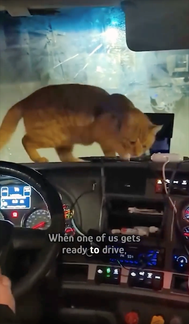AR When one of us gets ready to drive, PR 531 G.