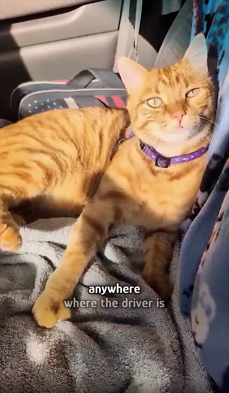 anywhere where the driver is