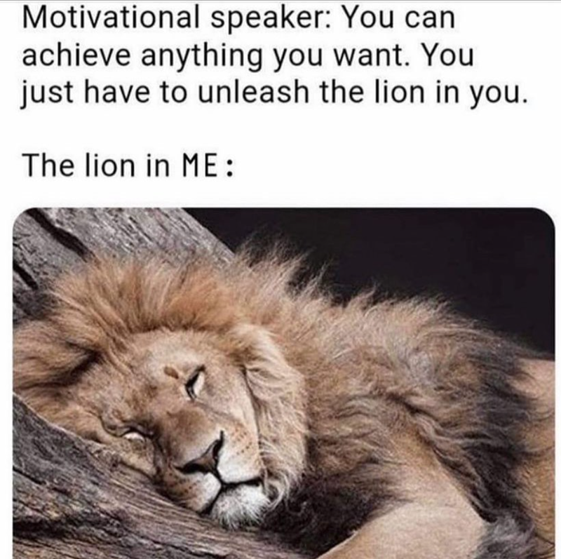 Motivational speaker: You can achieve anything you want. You just have to unleash the lion in you. The lion in ME: