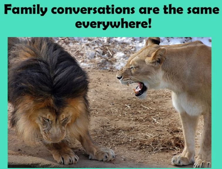 Family conversations are the same everywhere!
