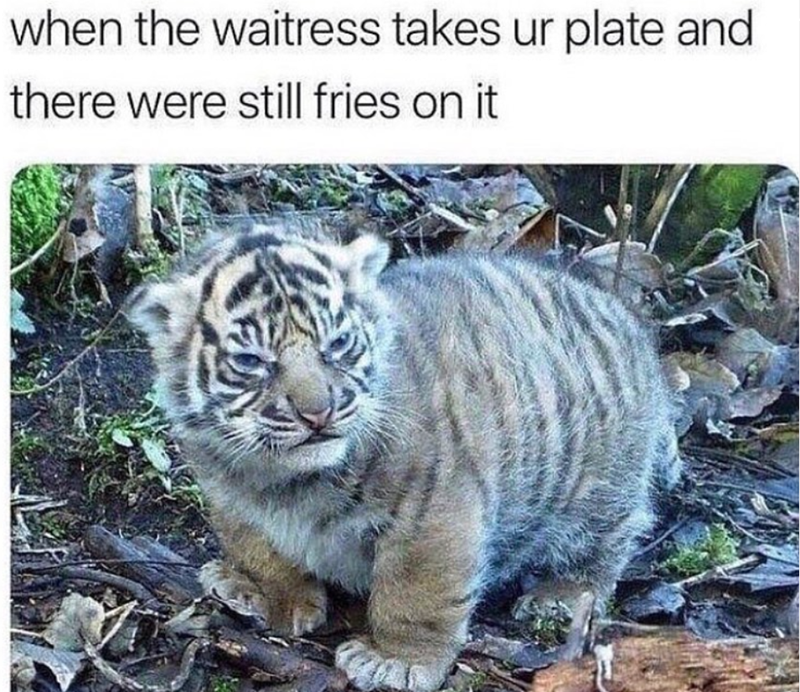when the waitress takes ur plate and there were still fries on it