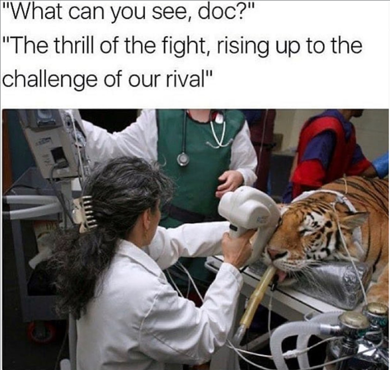 "What can you see, doc?" "The thrill of the fight, rising up to the challenge of our rival"
