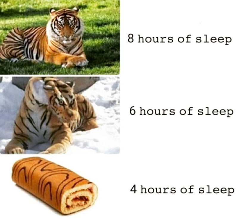 8 hours of sleep 6 hours of sleep 4 hours of sleep