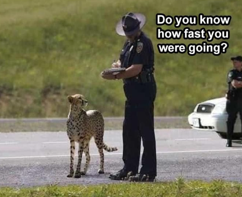 Do you know how fast you were going?