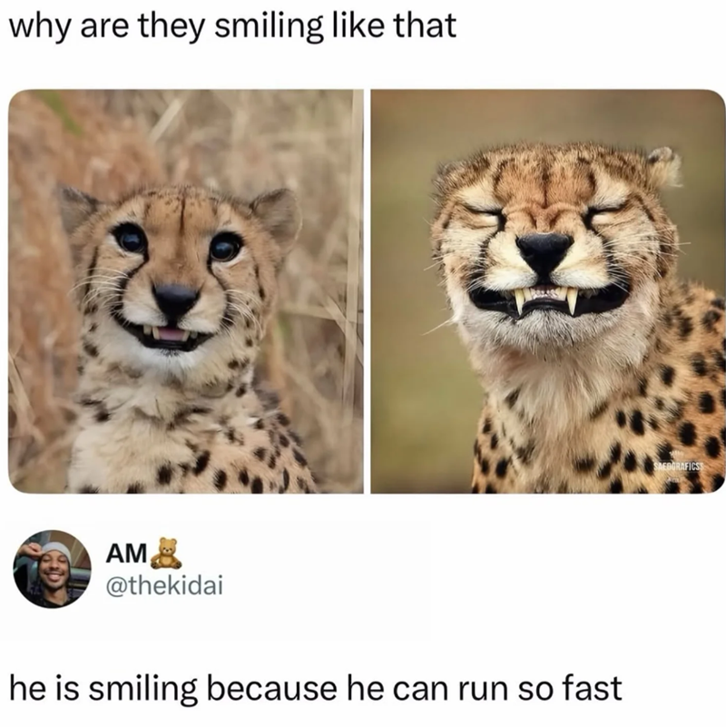 why are they smiling like that AM @thekidai he is smiling because he can run so fast SAEDORAFICSS