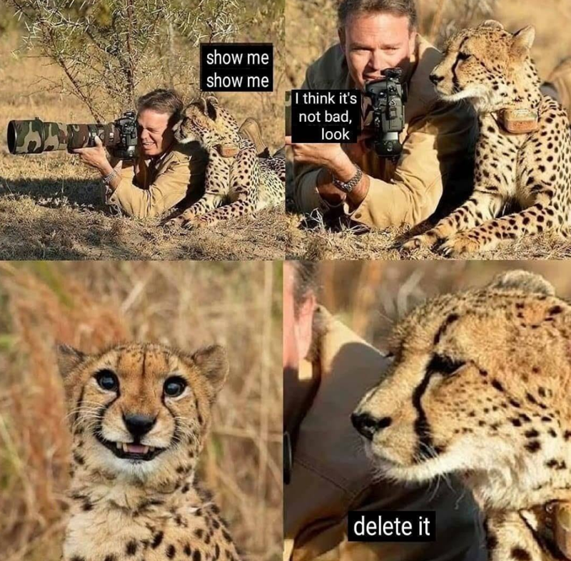 show me show me I think it's not bad, look delete it