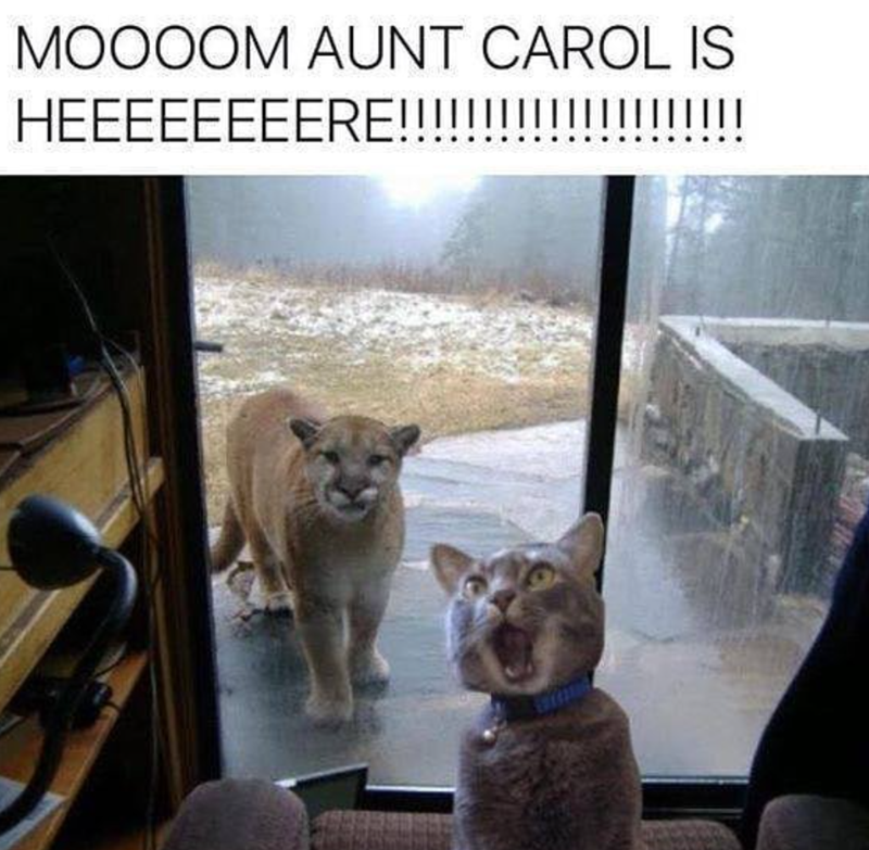 MOOOOM AUNT CAROL IS HEEEEEEEERE!!!!! !!!!