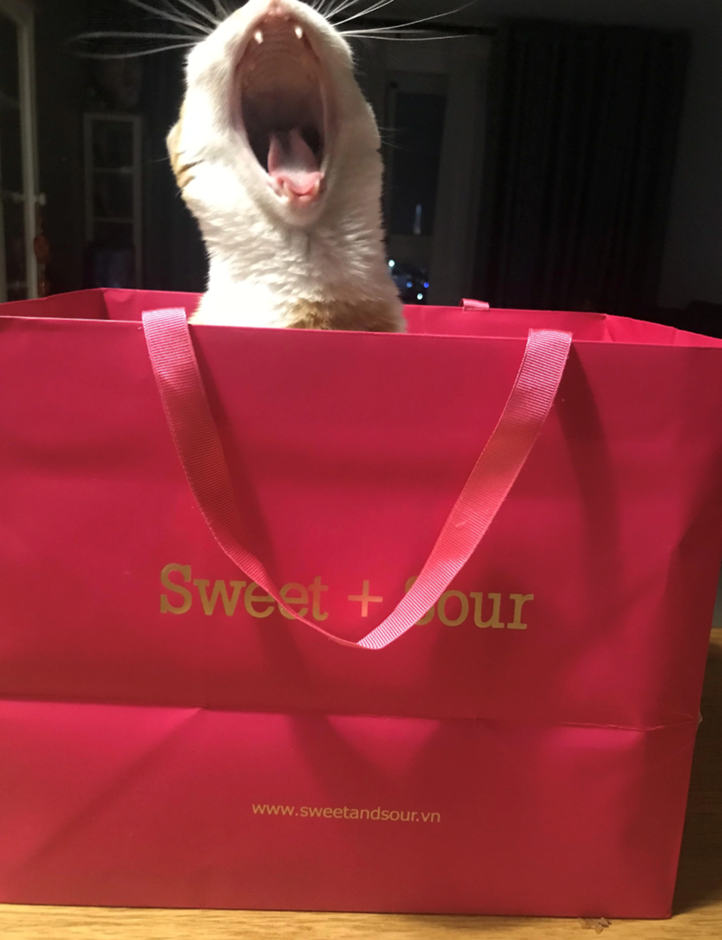 Sweet+our www.sweetandsour.vn