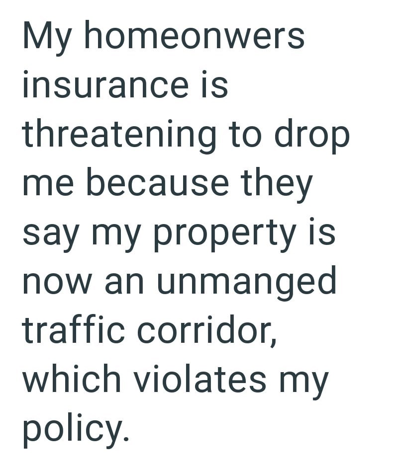 My homeonwers insurance is threatening to drop me because they say my property is now an unmanged traffic corridor, which violates my policy.
