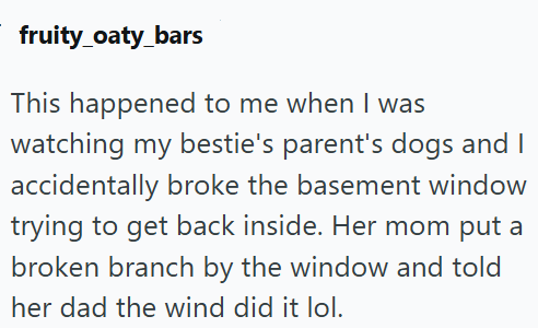 fruity_oaty_bars This happened to me when I was watching my bestie's parent's dogs and I accidentally broke the basement window trying to get back inside. Her mom put a broken branch by the window and told her dad the wind did it lol.