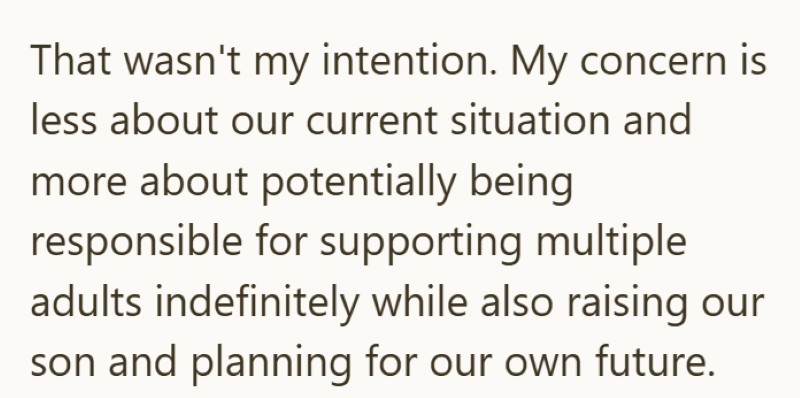 That wasn't my intention. My concern is less about our current situation and more about potentially being responsible for supporting multiple adults indefinitely while also raising our son and planning for our own future.