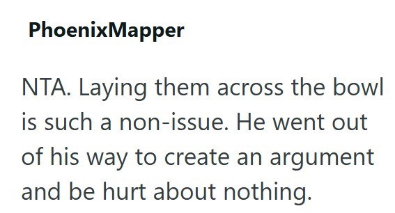 PhoenixMapper NTA. Laying them across the bowl is such a non-issue. He went out of his way to create an argument and be hurt about nothing.
