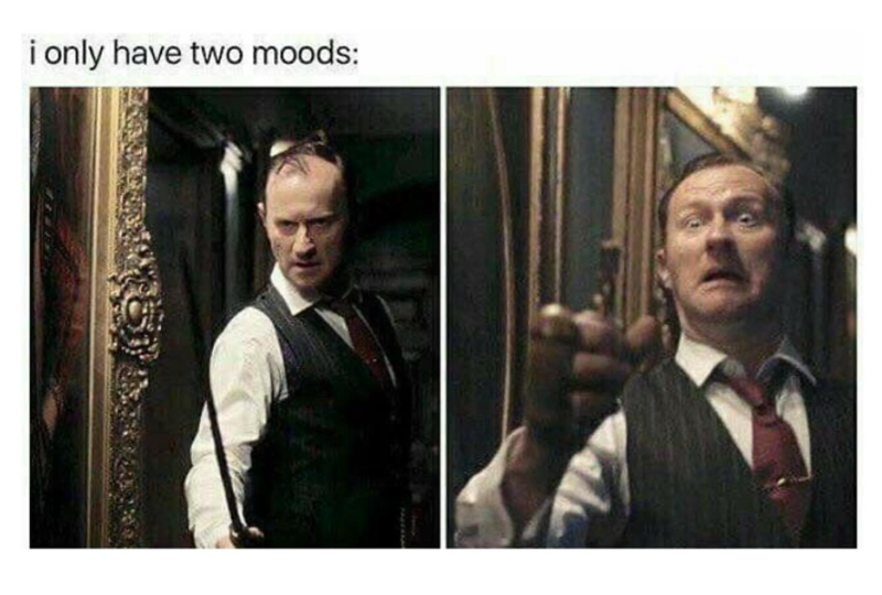 i only have two moods: