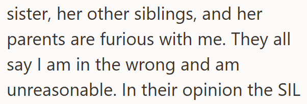 sister, her other siblings, and her parents are furious with me. They all say I am in the wrong and am unreasonable. In their opinion the SIL