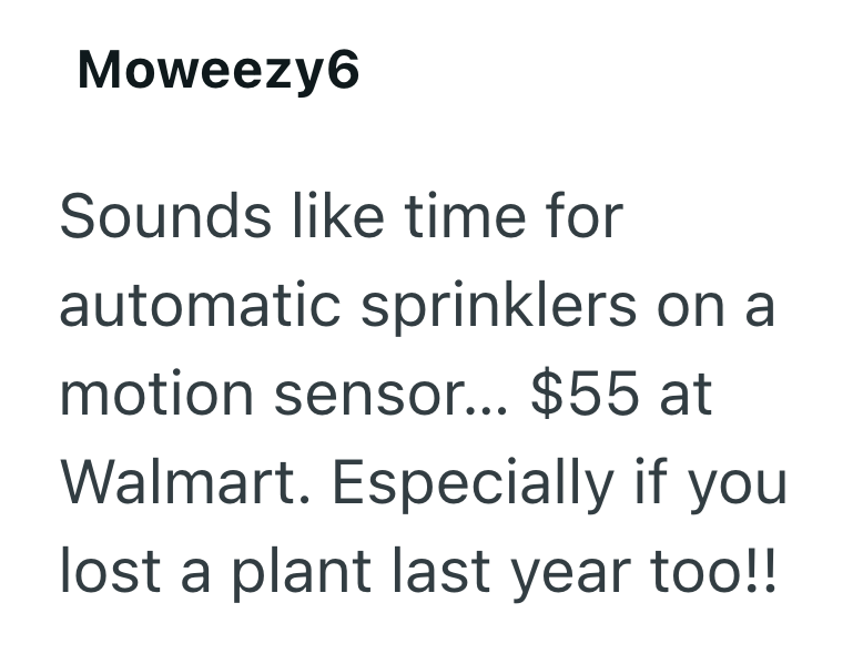 Moweezy6 Sounds like time for automatic sprinklers on a motion sensor... $55 at Walmart. Especially if you lost a plant last year too!!