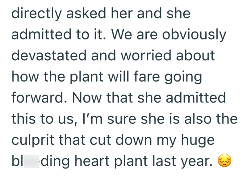 directly asked her and she admitted to it. We are obviously devastated and worried about how the plant will fare going forward. Now that she admitted this to us, I'm sure she is also the culprit that cut down my huge bl ding heart plant last year.
