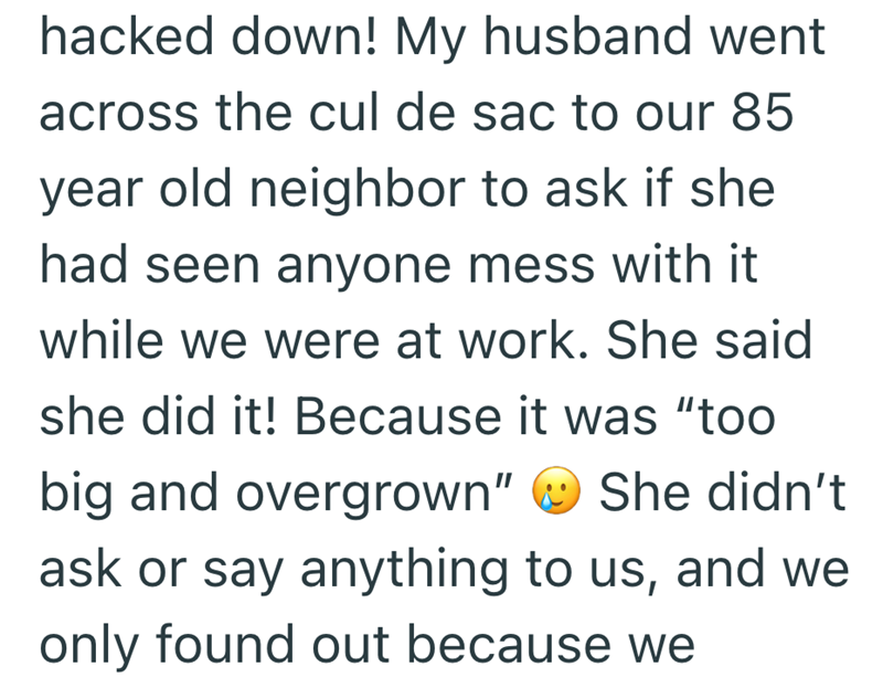 hacked down! My husband went across the cul de sac to our 85 year old neighbor to ask if she had seen anyone mess with it while we were at work. She said she did it! Because it was "too big and overgrown" She didn't ask or say anything to us, and we only found out because we
