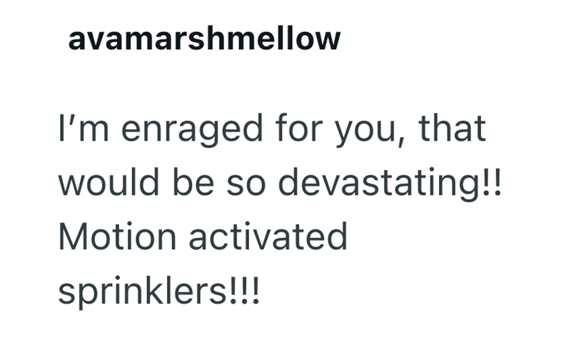 avamarshmellow I'm enraged for you, that would be so devastating!! Motion activated sprinklers!!!