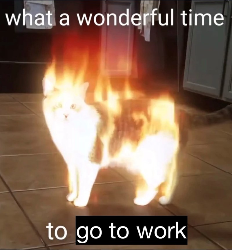 what a wonderful time to go to work