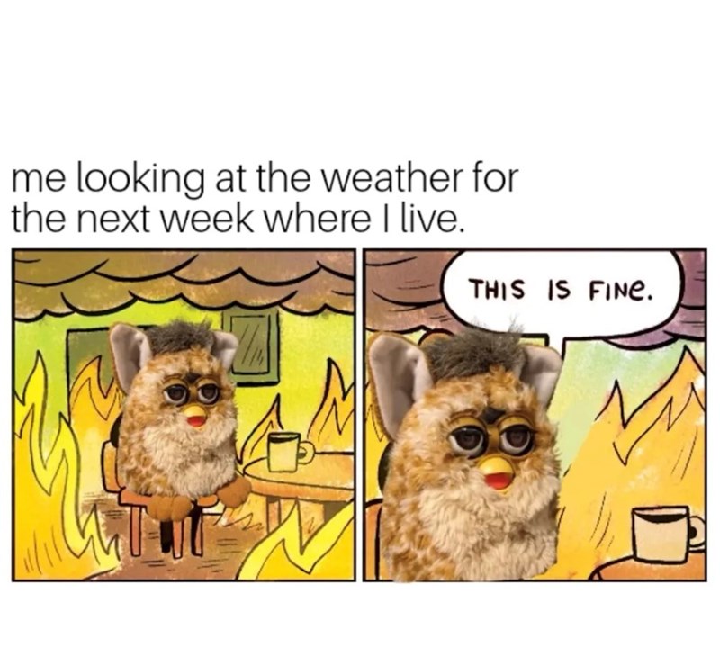 me looking at the weather for the next week where I live. THIS IS FINE.