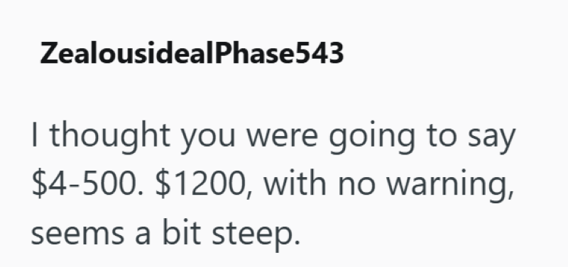 ZealousidealPhase543 I thought you were going to say $4-500. $1200, with no warning, seems a bit steep.