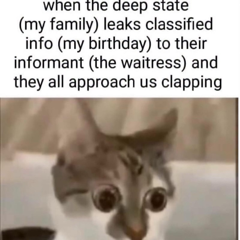 when the deep state (my family) leaks classified info (my birthday) to their informant (the waitress) and they all approach us clapping