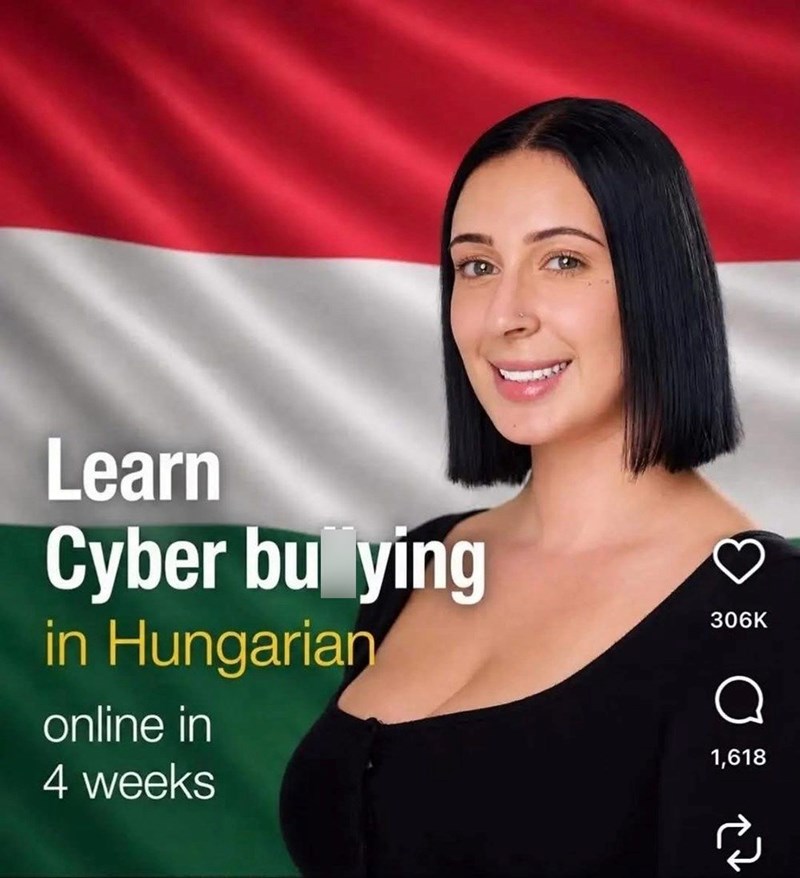 Learn Cyber bu_ying in Hungarian online in 4 weeks 306K Q 1,618